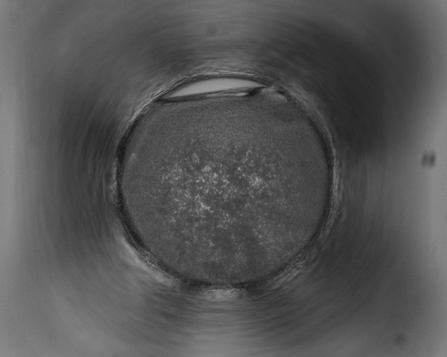 X0000115630202200911241654