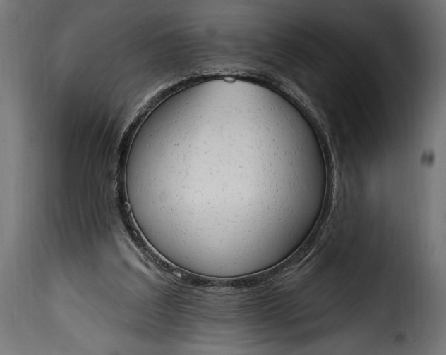 X0000115630203200911241654