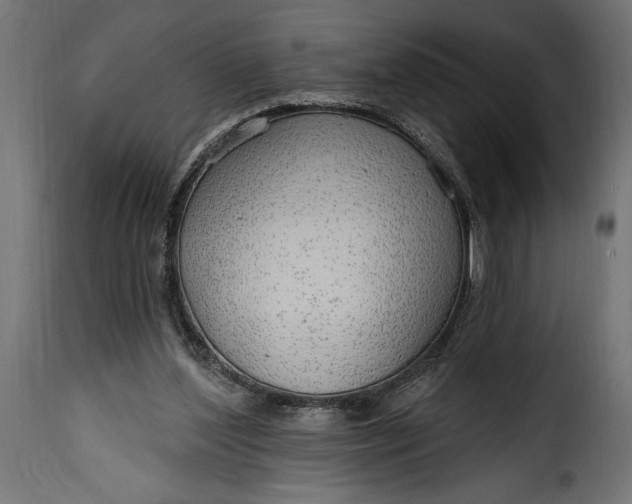 X0000115630204200911241654