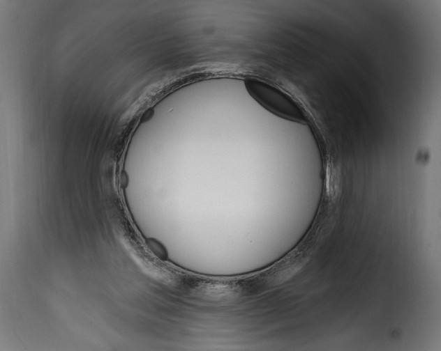 X0000115630205200911241654