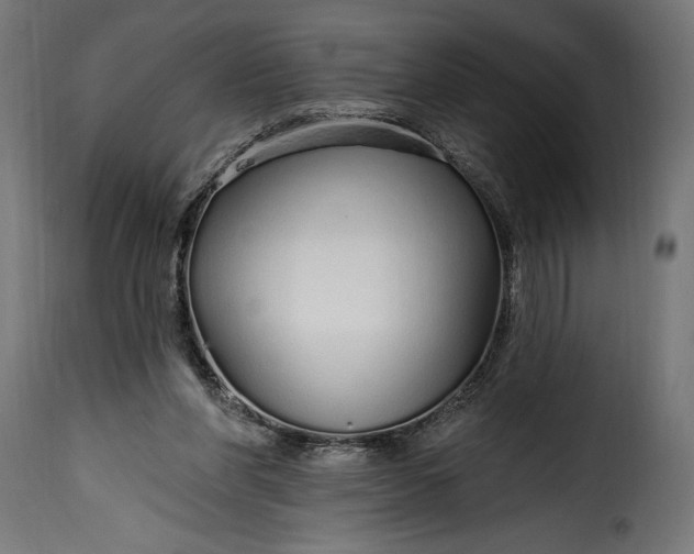 X0000115630206200911241654