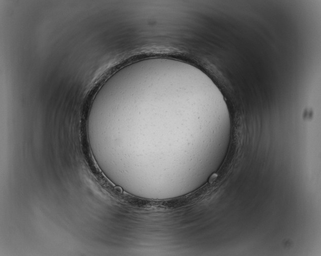 X0000115630207200911241654