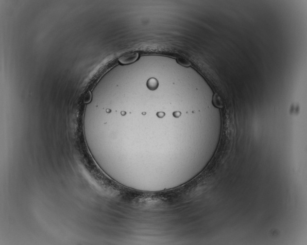 X0000115630208200911241654