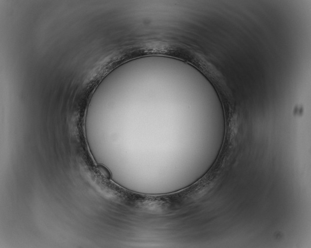 X0000115630209200911241654