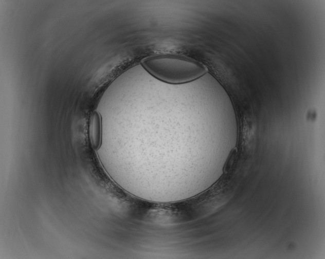 X0000115630211200911241654