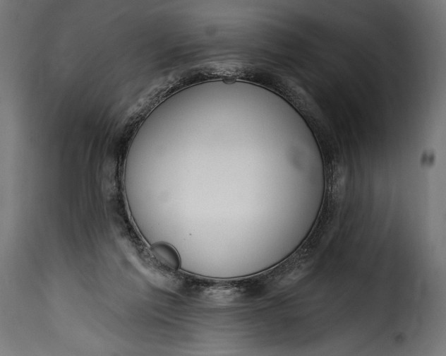 X0000115630213200911241654