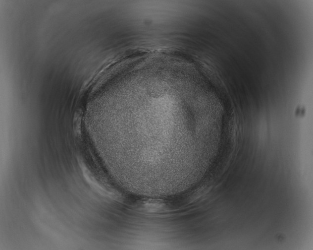 X0000115630214200911241654