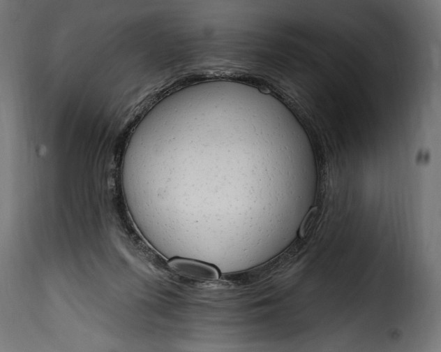 X0000115630215200911241654