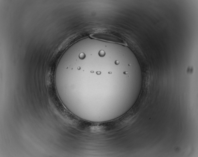 X0000115630216200911241654