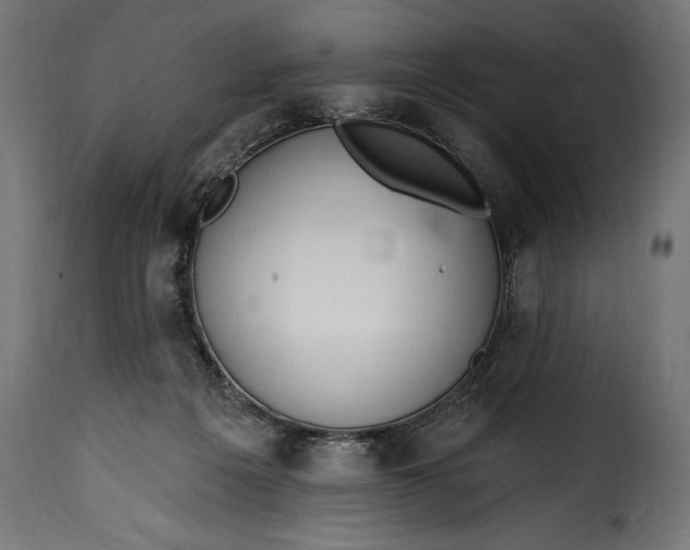 X0000115630217200911241654