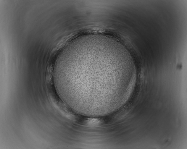 X0000115630218200911241654