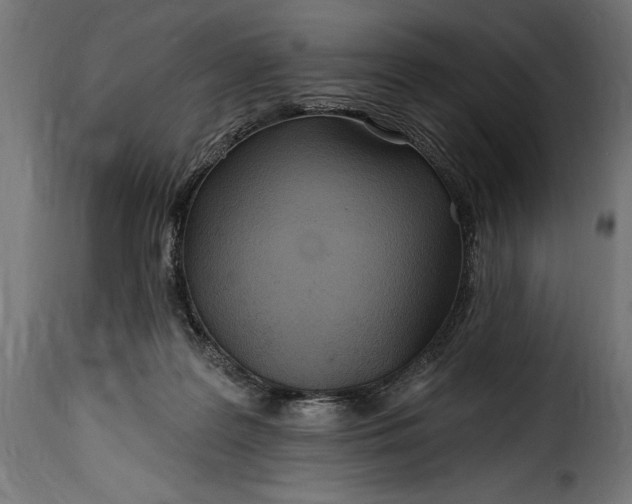 X0000115630219200911241654