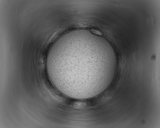 X0000115630220200911241654