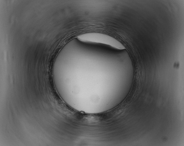 X0000115630221200911241654