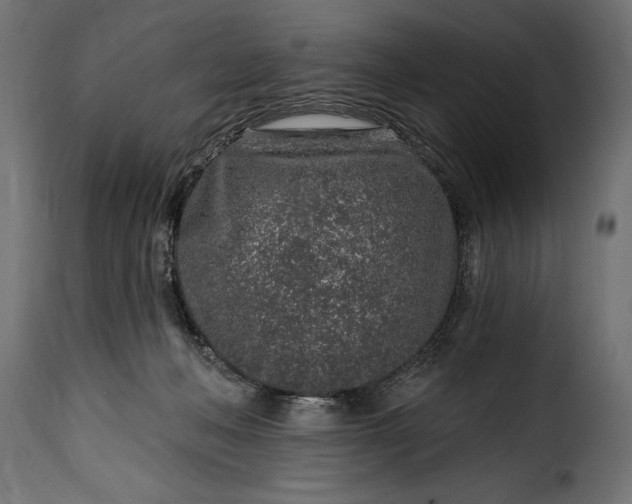 X0000115630222200911241654