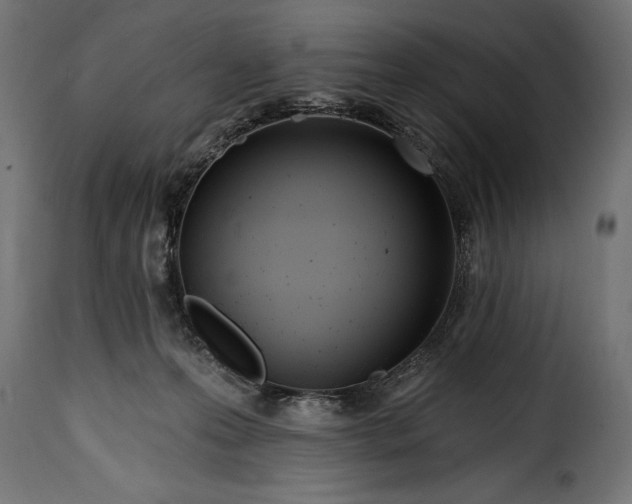 X0000115630223200911241654