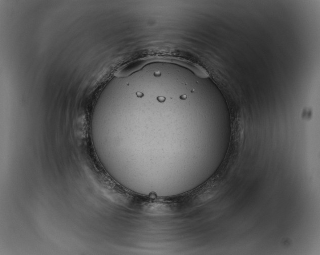 X0000115630224200911241654