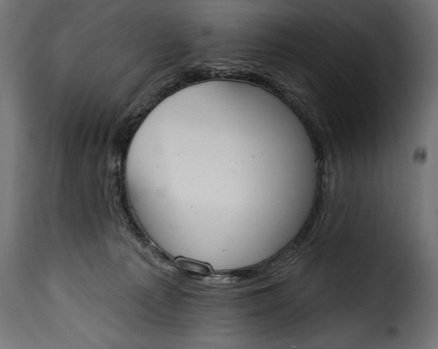 X0000115630225200911241654