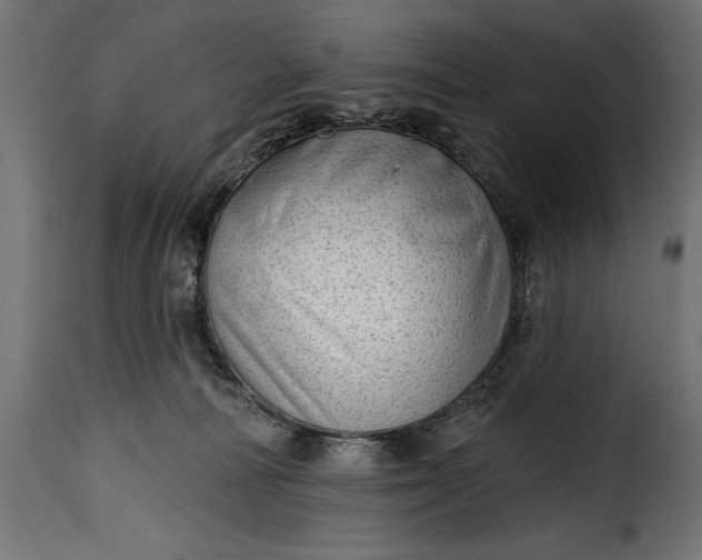 X0000115630226200911241654