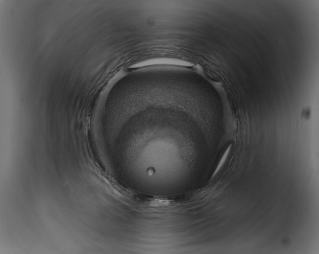 X0000115630227200911241654