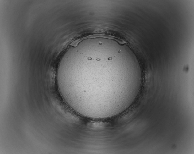 X0000115630228200911241654