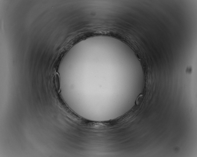 X0000115630229200911241654