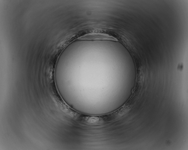 X0000115630230200911241654