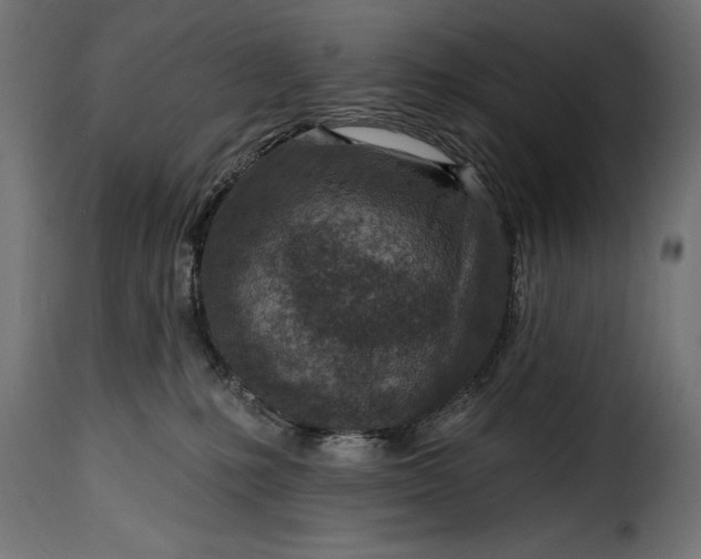 X0000115630231200911241654