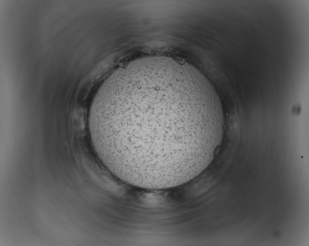 X0000115630232200911241654