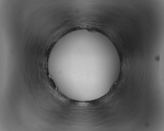 X0000115630233200911241654