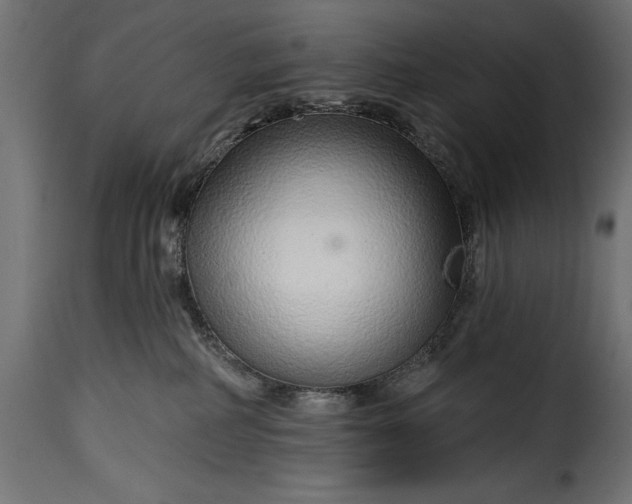 X0000115630234200911241654