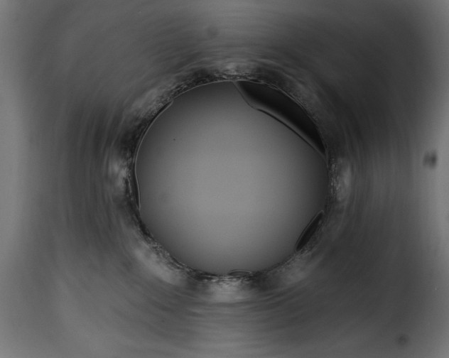 X0000115630235200911241654