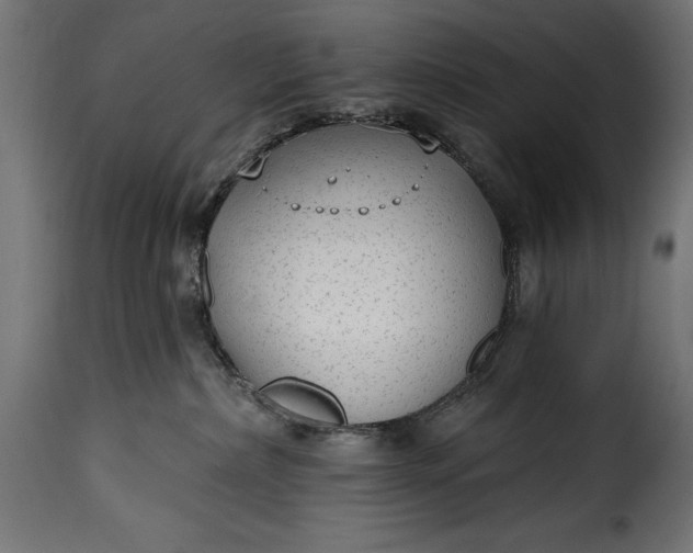 X0000115630236200911241654