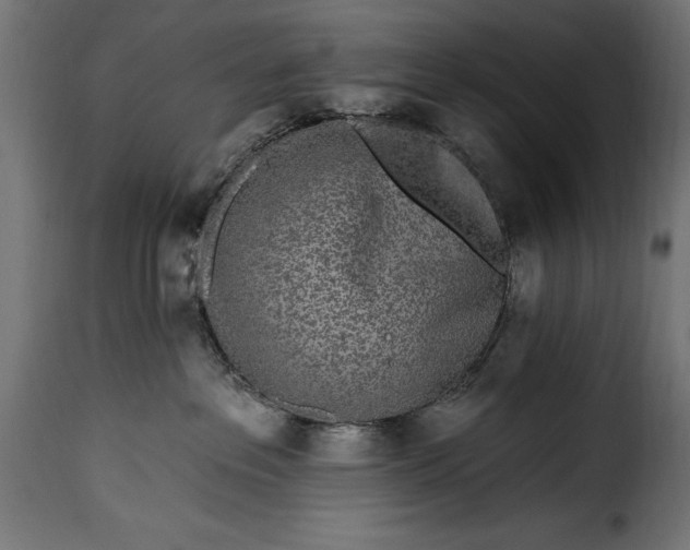 X0000115630237200911241654