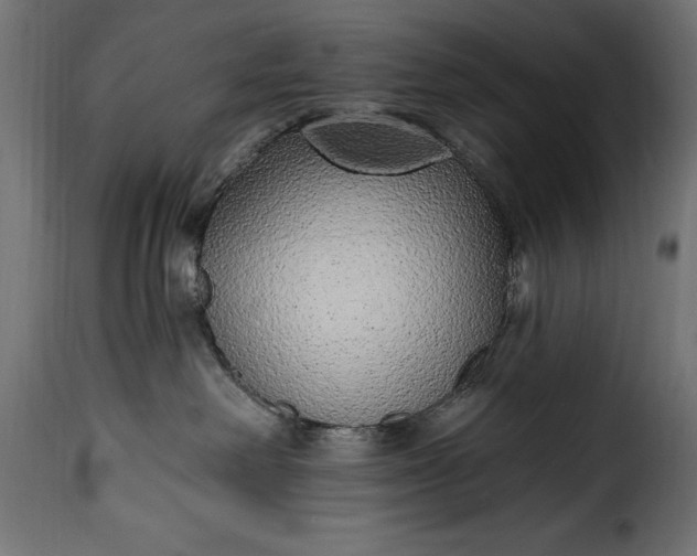 X0000115630238200911241654