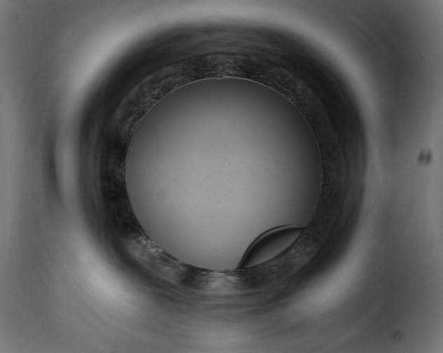 X0000115630239200911241654