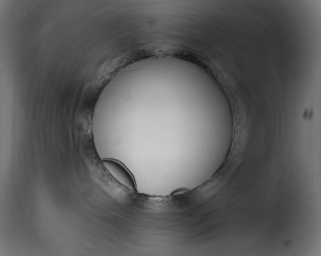 X0000115630240200911241654