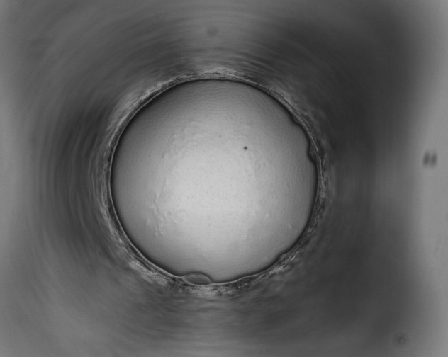 X0000115630241200911241653