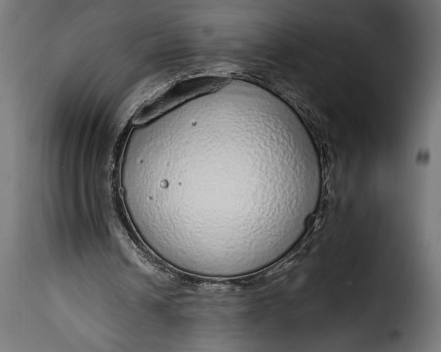 X0000115630242200911241653