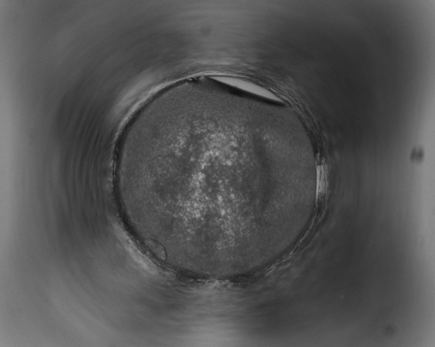 X0000115630243200911241653