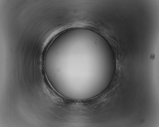 X0000115630244200911241653