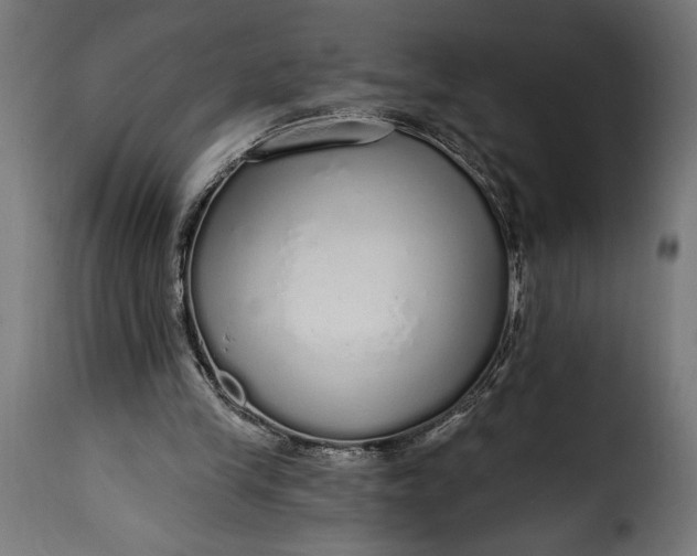 X0000115630245200911241653