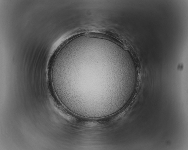 X0000115630246200911241653