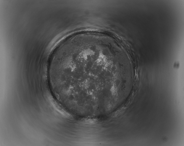 X0000115630247200911241653