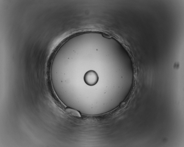 X0000115630248200911241653