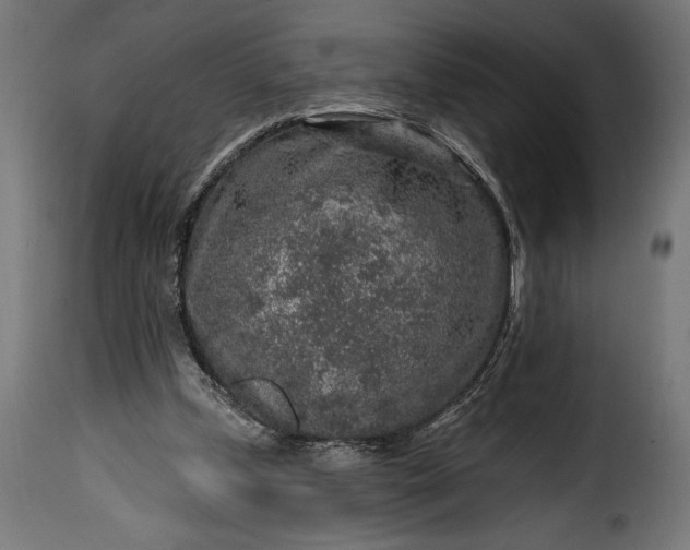 X0000115630249200911241653