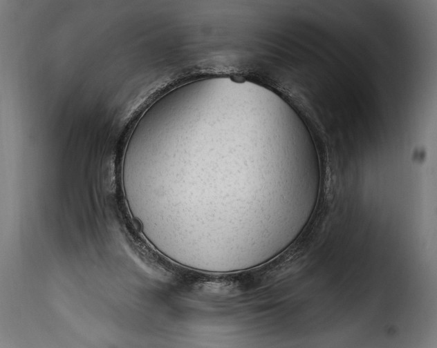 X0000115630251200911241653