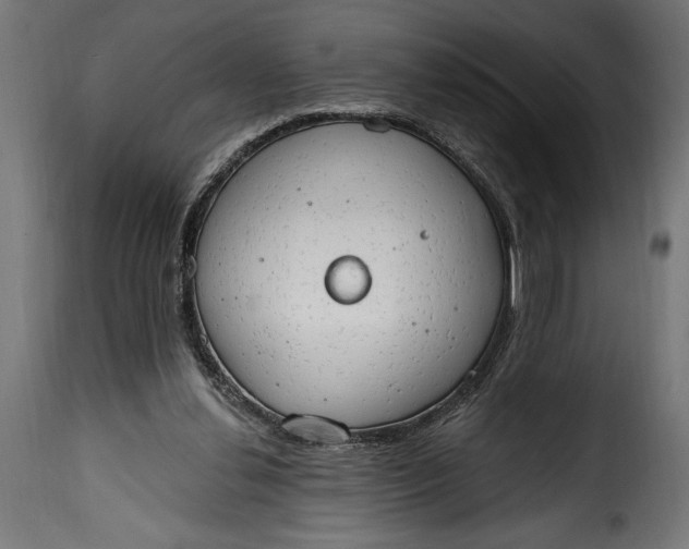 X0000115630252200911241653