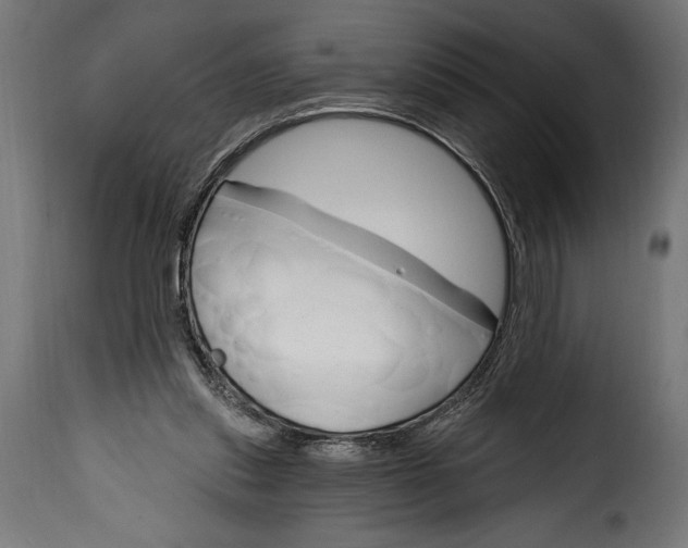 X0000115630253200911241653