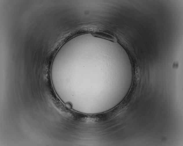 X0000115630255200911241653